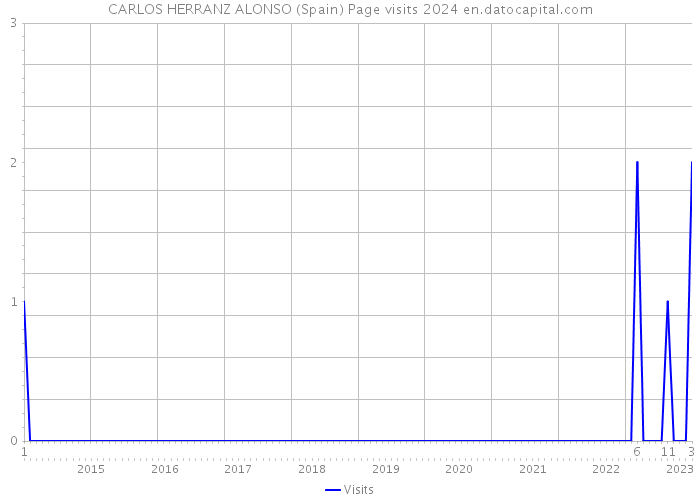 CARLOS HERRANZ ALONSO (Spain) Page visits 2024 
