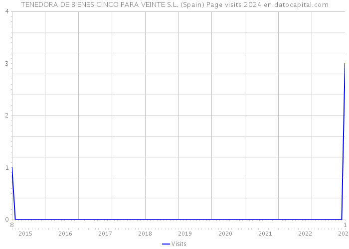 TENEDORA DE BIENES CINCO PARA VEINTE S.L. (Spain) Page visits 2024 