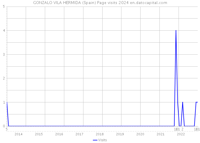 GONZALO VILA HERMIDA (Spain) Page visits 2024 