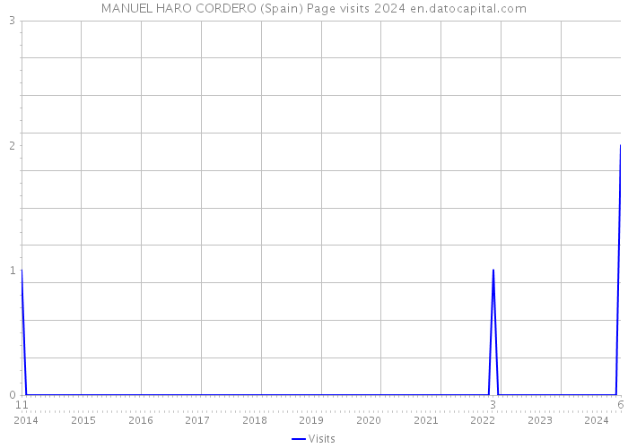 MANUEL HARO CORDERO (Spain) Page visits 2024 