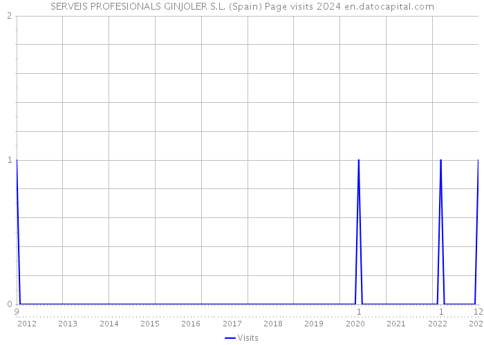 SERVEIS PROFESIONALS GINJOLER S.L. (Spain) Page visits 2024 