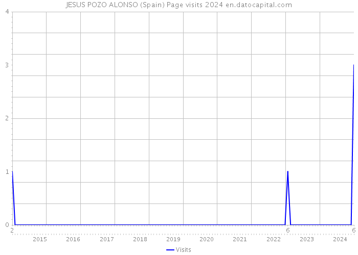 JESUS POZO ALONSO (Spain) Page visits 2024 