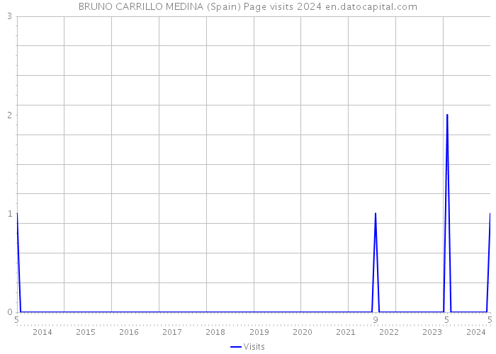 BRUNO CARRILLO MEDINA (Spain) Page visits 2024 