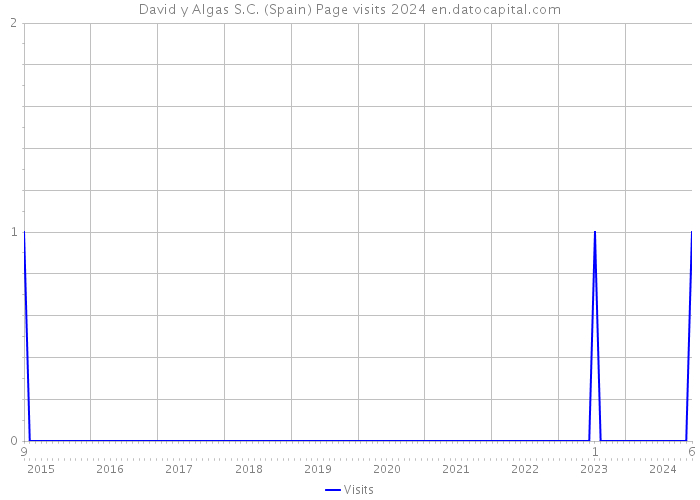 David y Algas S.C. (Spain) Page visits 2024 