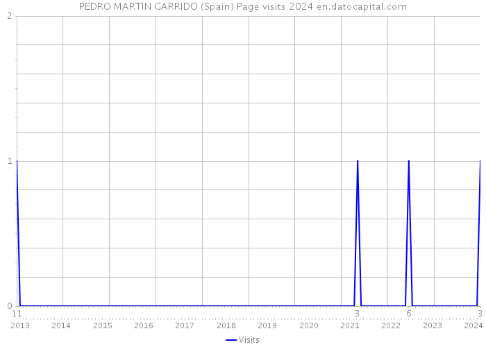 PEDRO MARTIN GARRIDO (Spain) Page visits 2024 