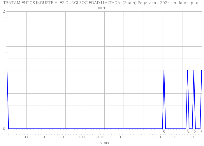 TRATAMIENTOS INDUSTRIALES DURGI SOCIEDAD LIMITADA. (Spain) Page visits 2024 