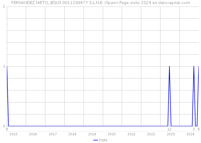 FERNANDEZ NIETO, JESUS 001129947Y S.L.N.E. (Spain) Page visits 2024 