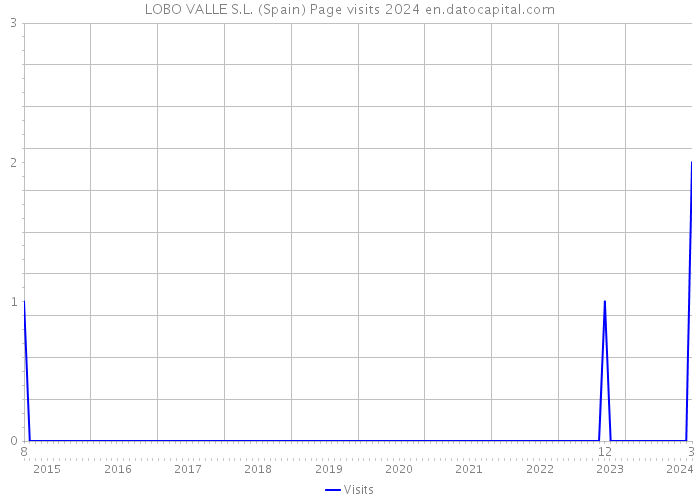 LOBO VALLE S.L. (Spain) Page visits 2024 