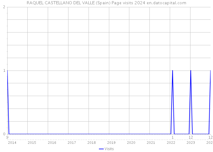 RAQUEL CASTELLANO DEL VALLE (Spain) Page visits 2024 