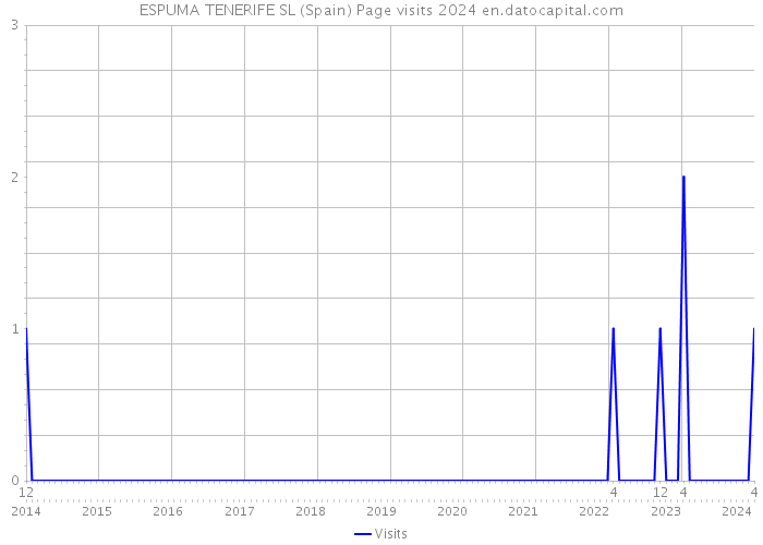 ESPUMA TENERIFE SL (Spain) Page visits 2024 