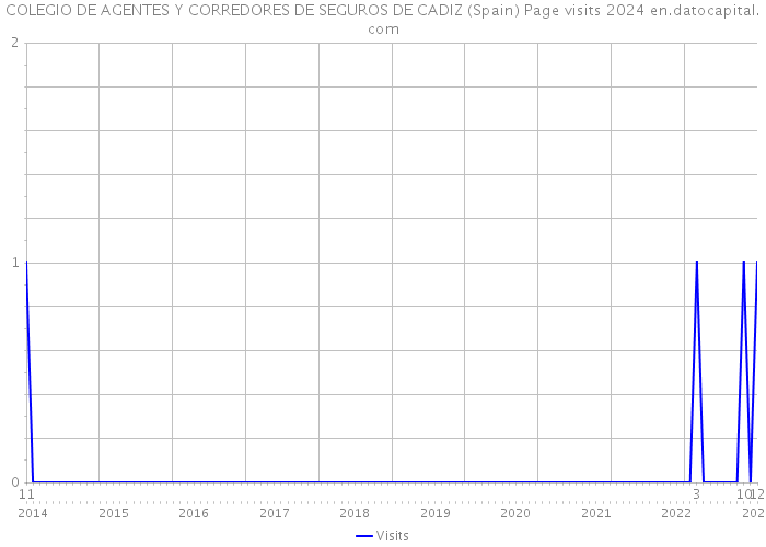 COLEGIO DE AGENTES Y CORREDORES DE SEGUROS DE CADIZ (Spain) Page visits 2024 