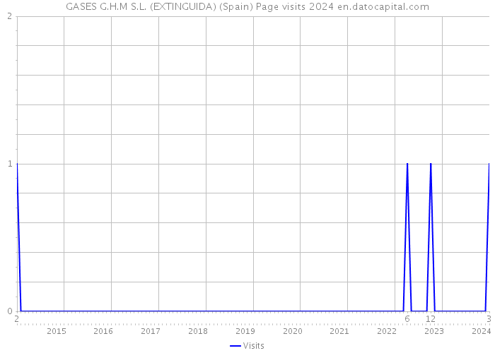 GASES G.H.M S.L. (EXTINGUIDA) (Spain) Page visits 2024 