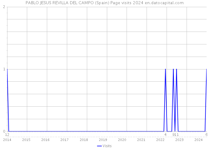 PABLO JESUS REVILLA DEL CAMPO (Spain) Page visits 2024 