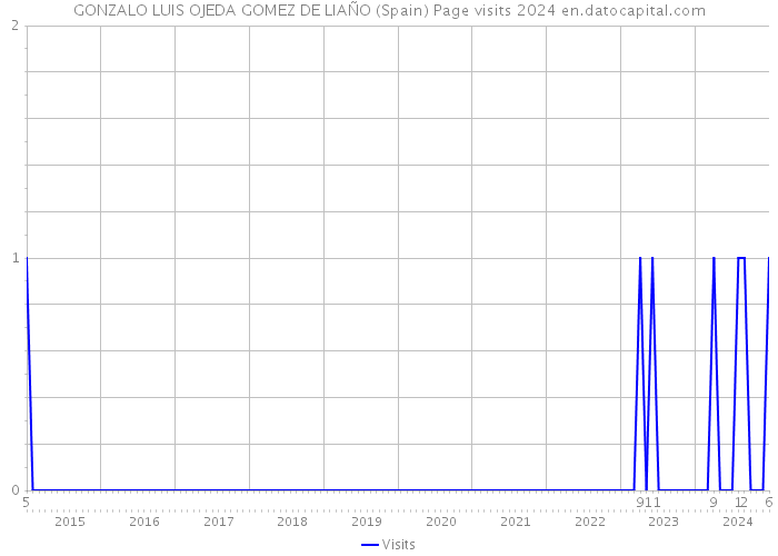 GONZALO LUIS OJEDA GOMEZ DE LIAÑO (Spain) Page visits 2024 