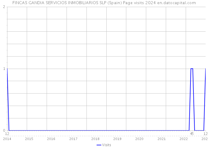 FINCAS GANDIA SERVICIOS INMOBILIARIOS SLP (Spain) Page visits 2024 