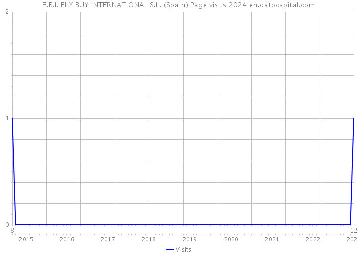 F.B.I. FLY BUY INTERNATIONAL S.L. (Spain) Page visits 2024 