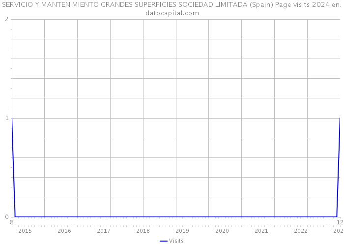 SERVICIO Y MANTENIMIENTO GRANDES SUPERFICIES SOCIEDAD LIMITADA (Spain) Page visits 2024 