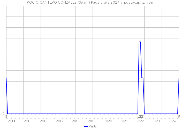 ROCIO CANTERO GONZALEZ (Spain) Page visits 2024 