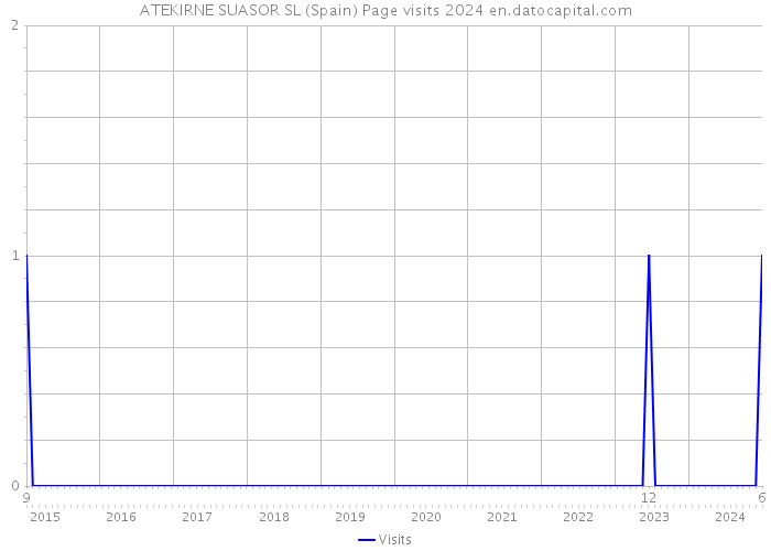 ATEKIRNE SUASOR SL (Spain) Page visits 2024 