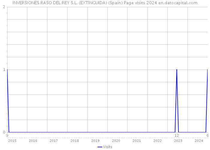 INVERSIONES RASO DEL REY S.L. (EXTINGUIDA) (Spain) Page visits 2024 