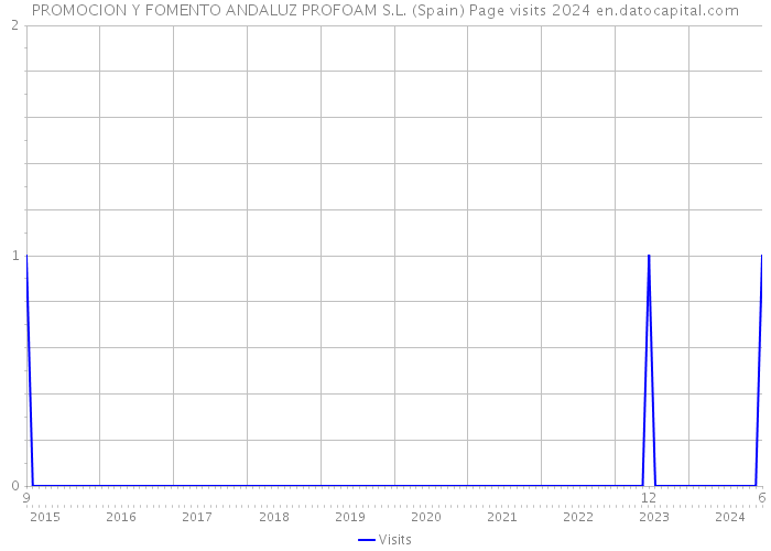 PROMOCION Y FOMENTO ANDALUZ PROFOAM S.L. (Spain) Page visits 2024 