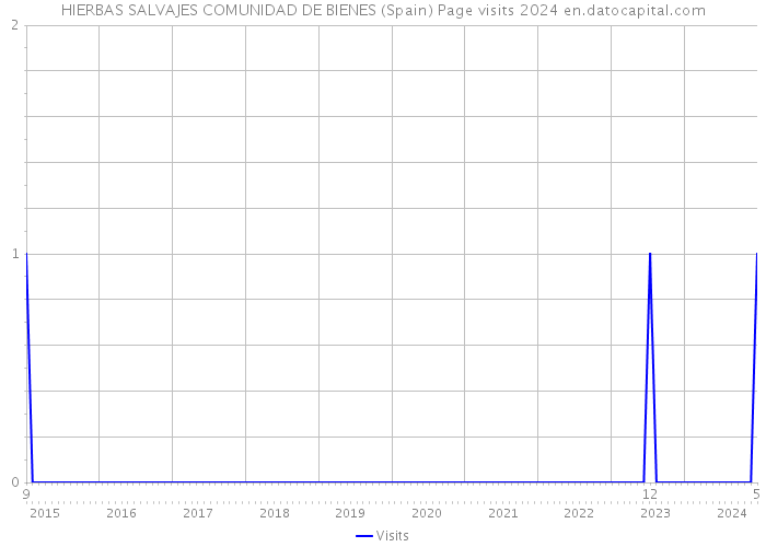 HIERBAS SALVAJES COMUNIDAD DE BIENES (Spain) Page visits 2024 