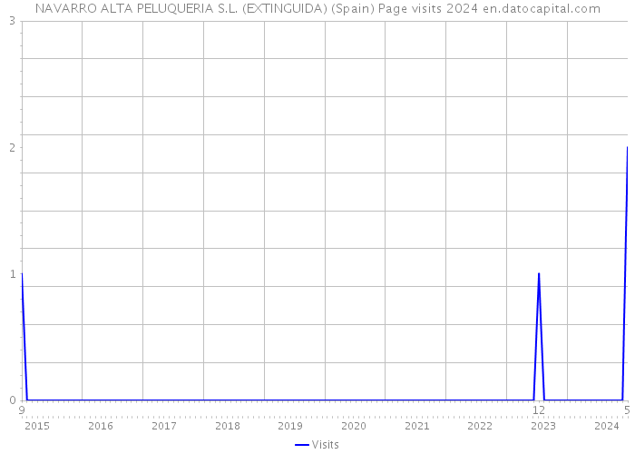 NAVARRO ALTA PELUQUERIA S.L. (EXTINGUIDA) (Spain) Page visits 2024 