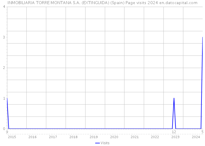INMOBILIARIA TORRE MONTANA S.A. (EXTINGUIDA) (Spain) Page visits 2024 
