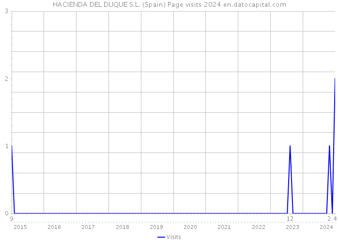 HACIENDA DEL DUQUE S.L. (Spain) Page visits 2024 