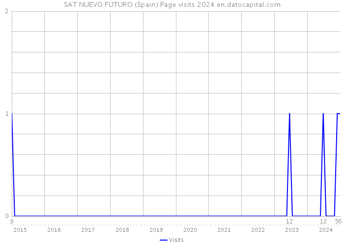 SAT NUEVO FUTURO (Spain) Page visits 2024 