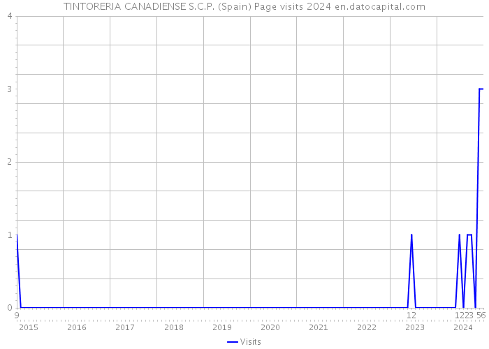 TINTORERIA CANADIENSE S.C.P. (Spain) Page visits 2024 