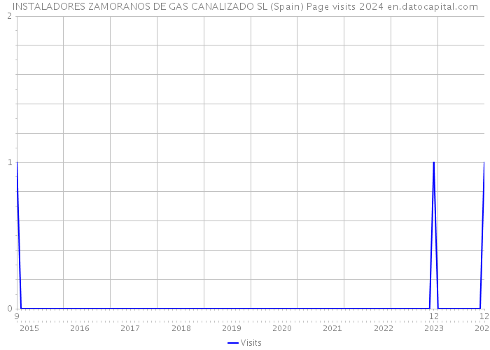 INSTALADORES ZAMORANOS DE GAS CANALIZADO SL (Spain) Page visits 2024 