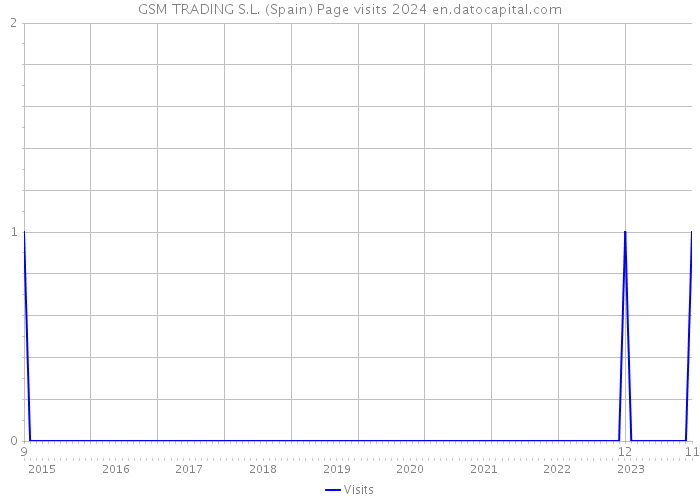 GSM TRADING S.L. (Spain) Page visits 2024 