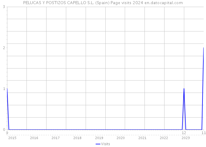 PELUCAS Y POSTIZOS CAPEL.LO S.L. (Spain) Page visits 2024 