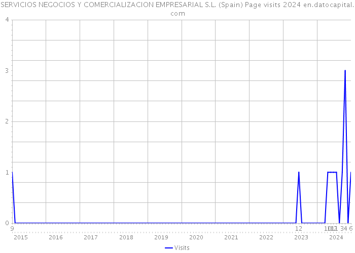 SERVICIOS NEGOCIOS Y COMERCIALIZACION EMPRESARIAL S.L. (Spain) Page visits 2024 