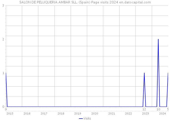SALON DE PELUQUERIA AMBAR SLL. (Spain) Page visits 2024 