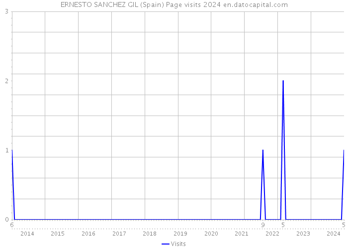ERNESTO SANCHEZ GIL (Spain) Page visits 2024 