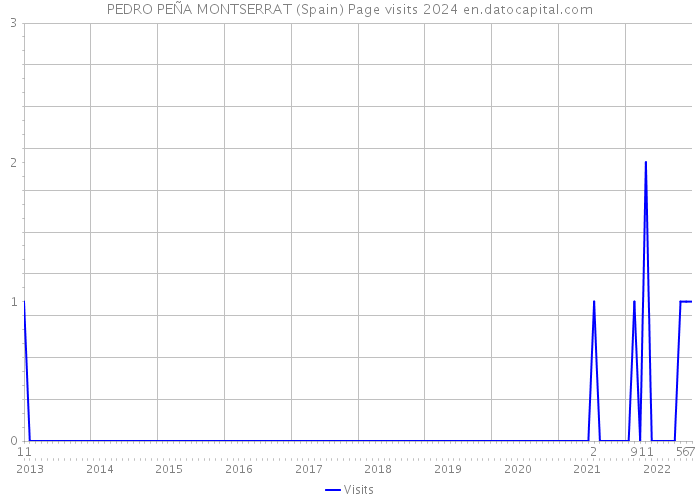 PEDRO PEÑA MONTSERRAT (Spain) Page visits 2024 