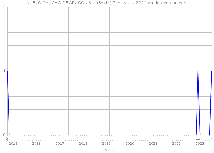 NUEVO CAUCHO DE ARAGON S.L. (Spain) Page visits 2024 