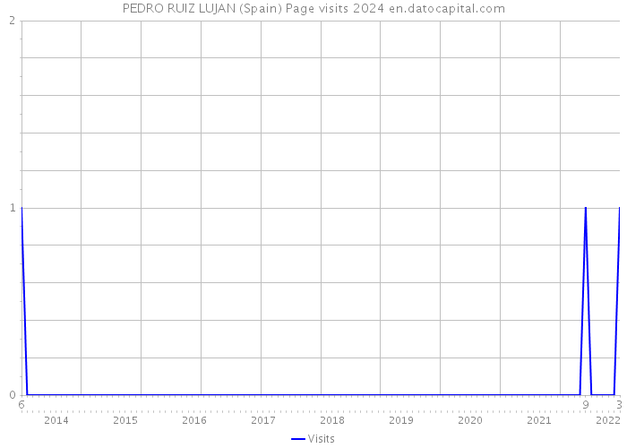 PEDRO RUIZ LUJAN (Spain) Page visits 2024 