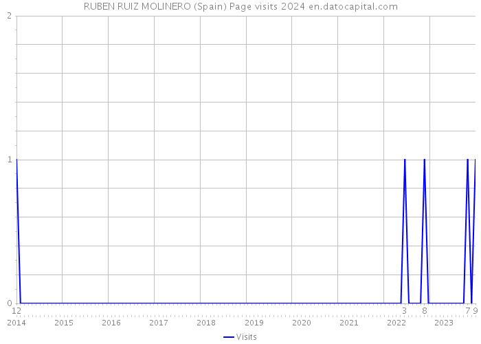 RUBEN RUIZ MOLINERO (Spain) Page visits 2024 