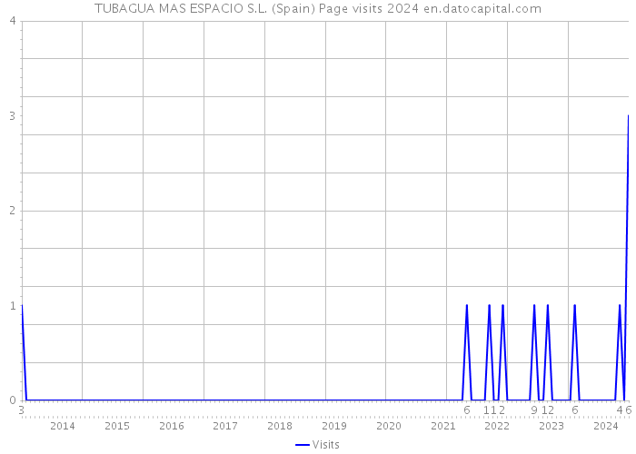 TUBAGUA MAS ESPACIO S.L. (Spain) Page visits 2024 