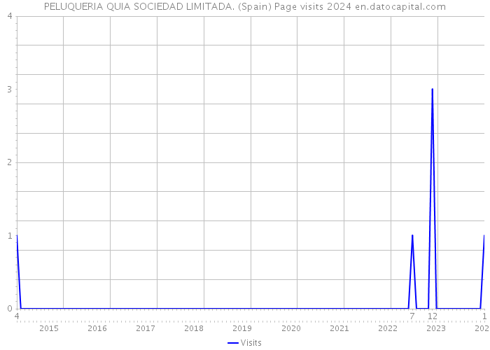 PELUQUERIA QUIA SOCIEDAD LIMITADA. (Spain) Page visits 2024 