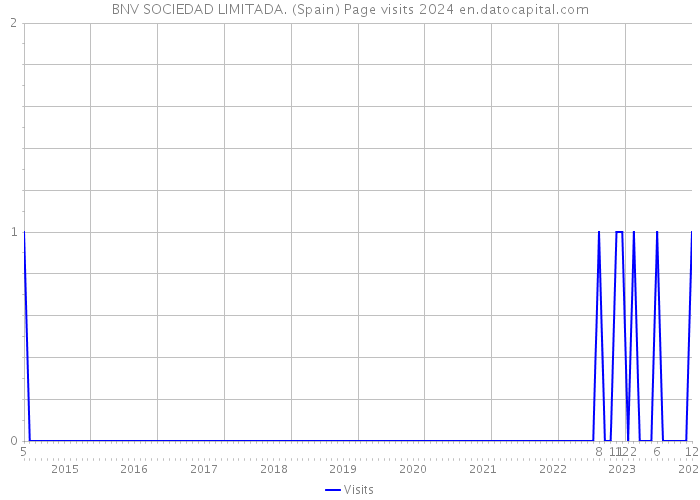 BNV SOCIEDAD LIMITADA. (Spain) Page visits 2024 