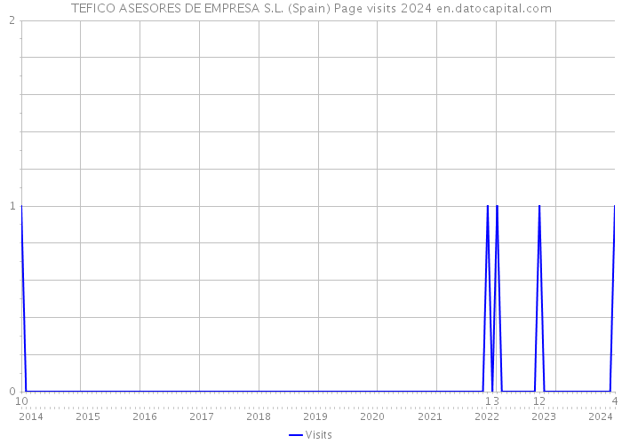 TEFICO ASESORES DE EMPRESA S.L. (Spain) Page visits 2024 