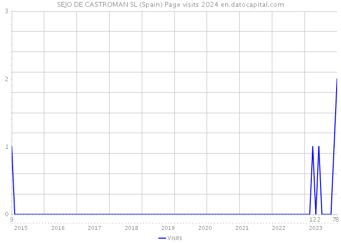 SEJO DE CASTROMAN SL (Spain) Page visits 2024 