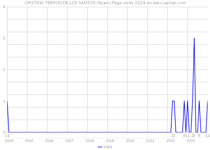 CRISTINA TERRON DE LOS SANTOS (Spain) Page visits 2024 