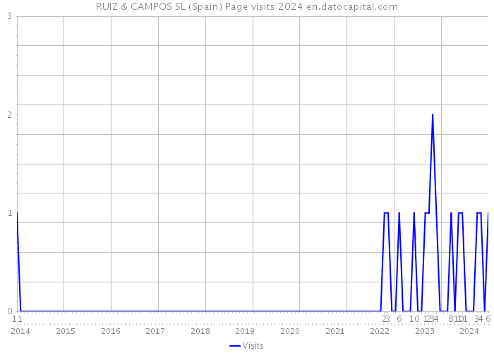 RUIZ & CAMPOS SL (Spain) Page visits 2024 