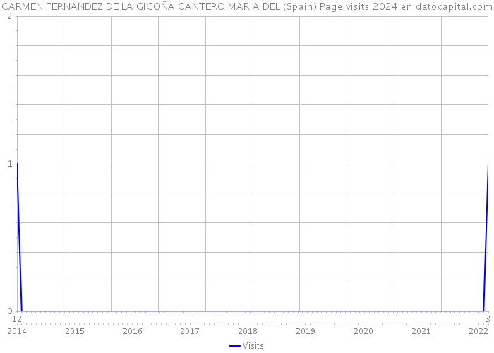 CARMEN FERNANDEZ DE LA GIGOÑA CANTERO MARIA DEL (Spain) Page visits 2024 
