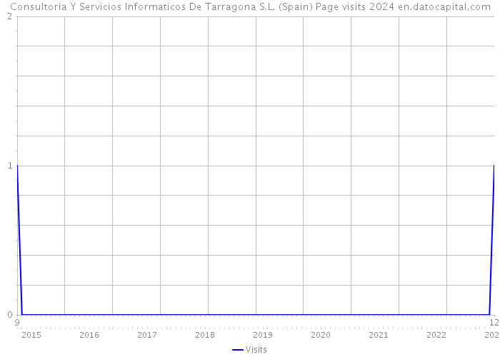 Consultoria Y Servicios Informaticos De Tarragona S.L. (Spain) Page visits 2024 
